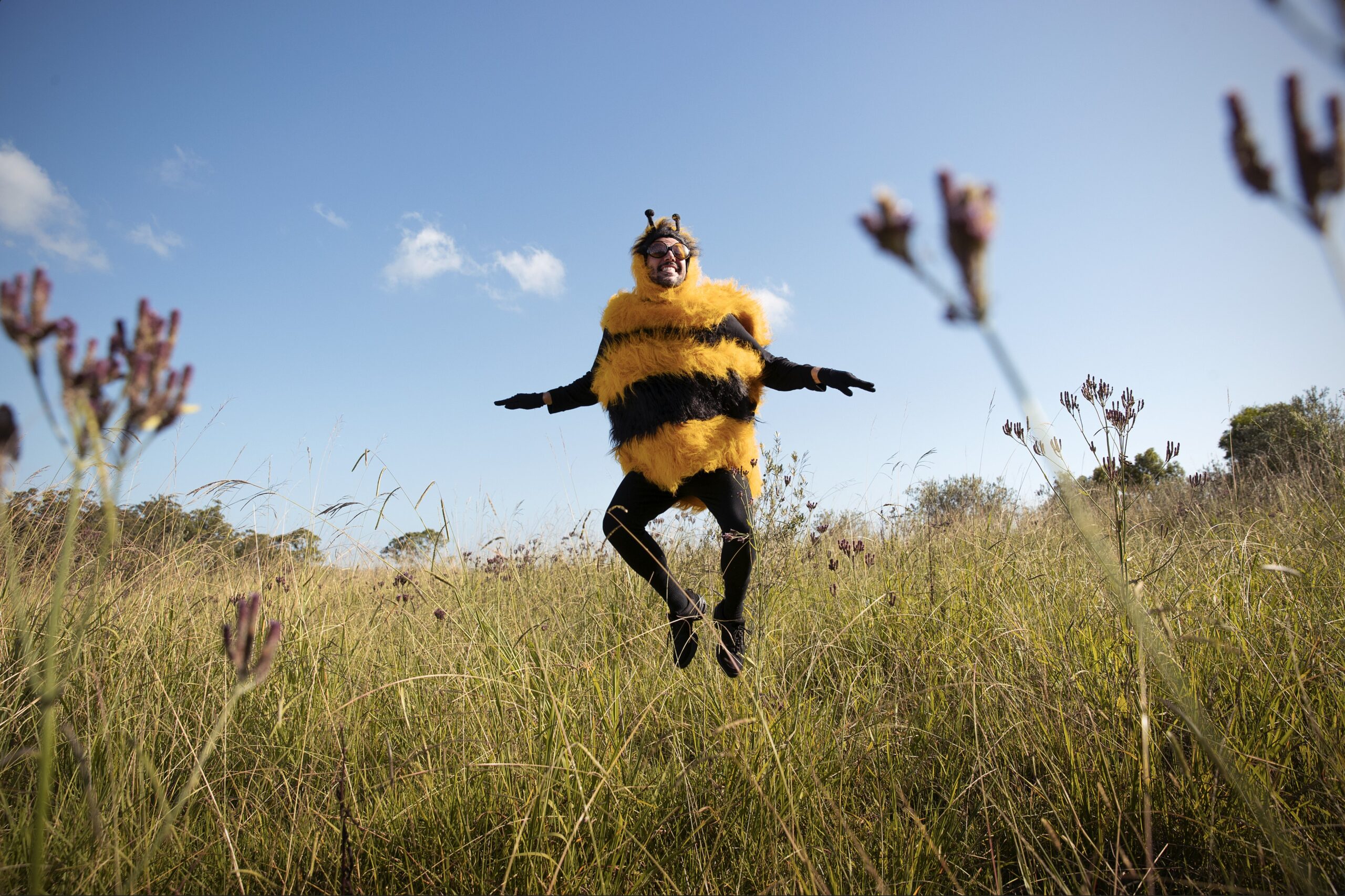 Nectr Bee in Field from Launch Campaign via Mr Wolf Challenger Agency