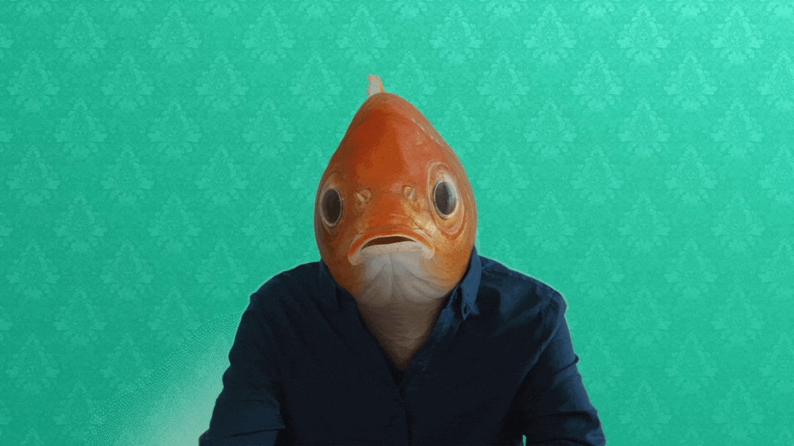 Goldfish man for PayID via Mr Wolf Challenger Brand agency